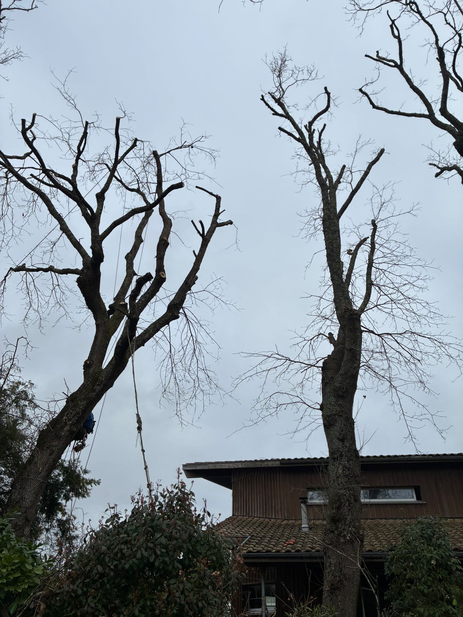 PHOTO 2026 02 23 20 02 50