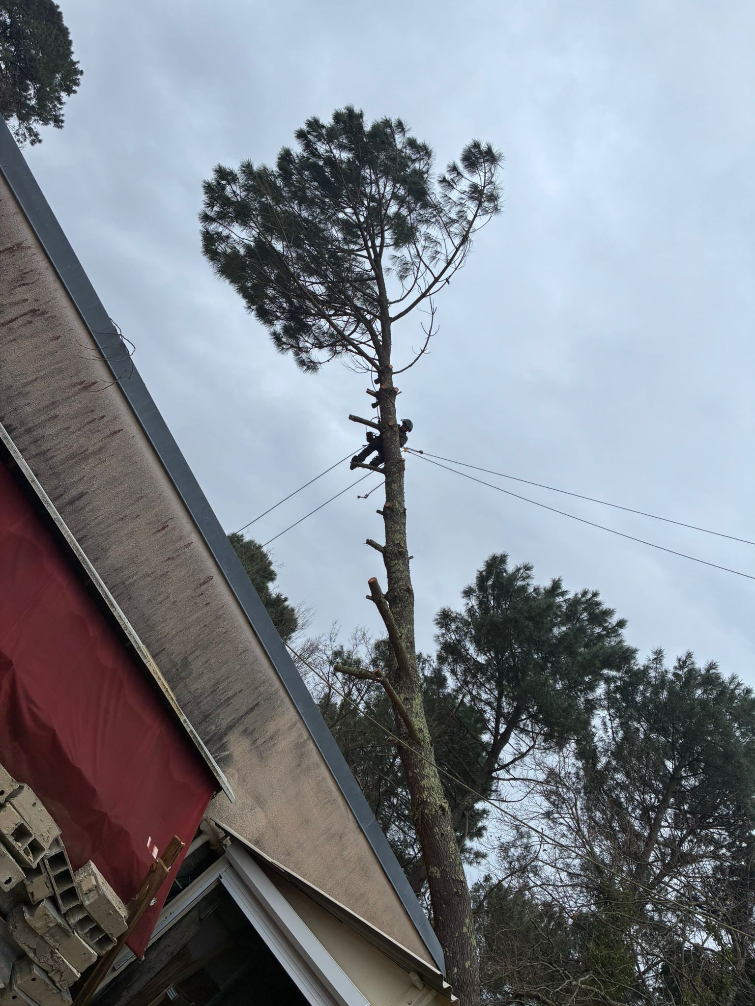 PHOTO 2026 02 23 20 03 17