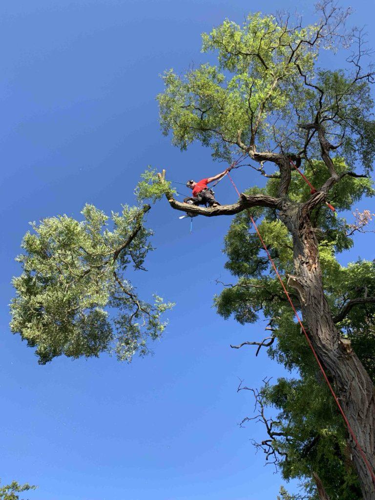 PHOTO 2026 02 24 16 37 09