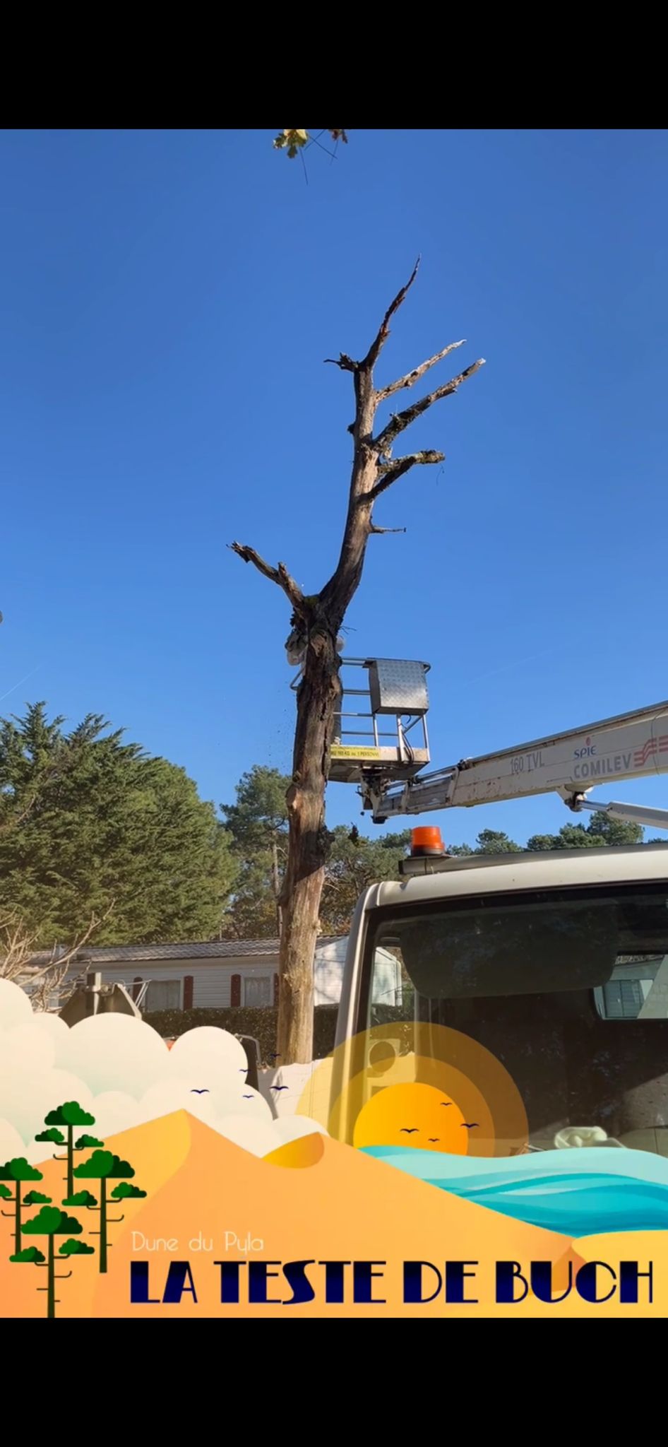 PHOTO 2026 02 24 16 37 33