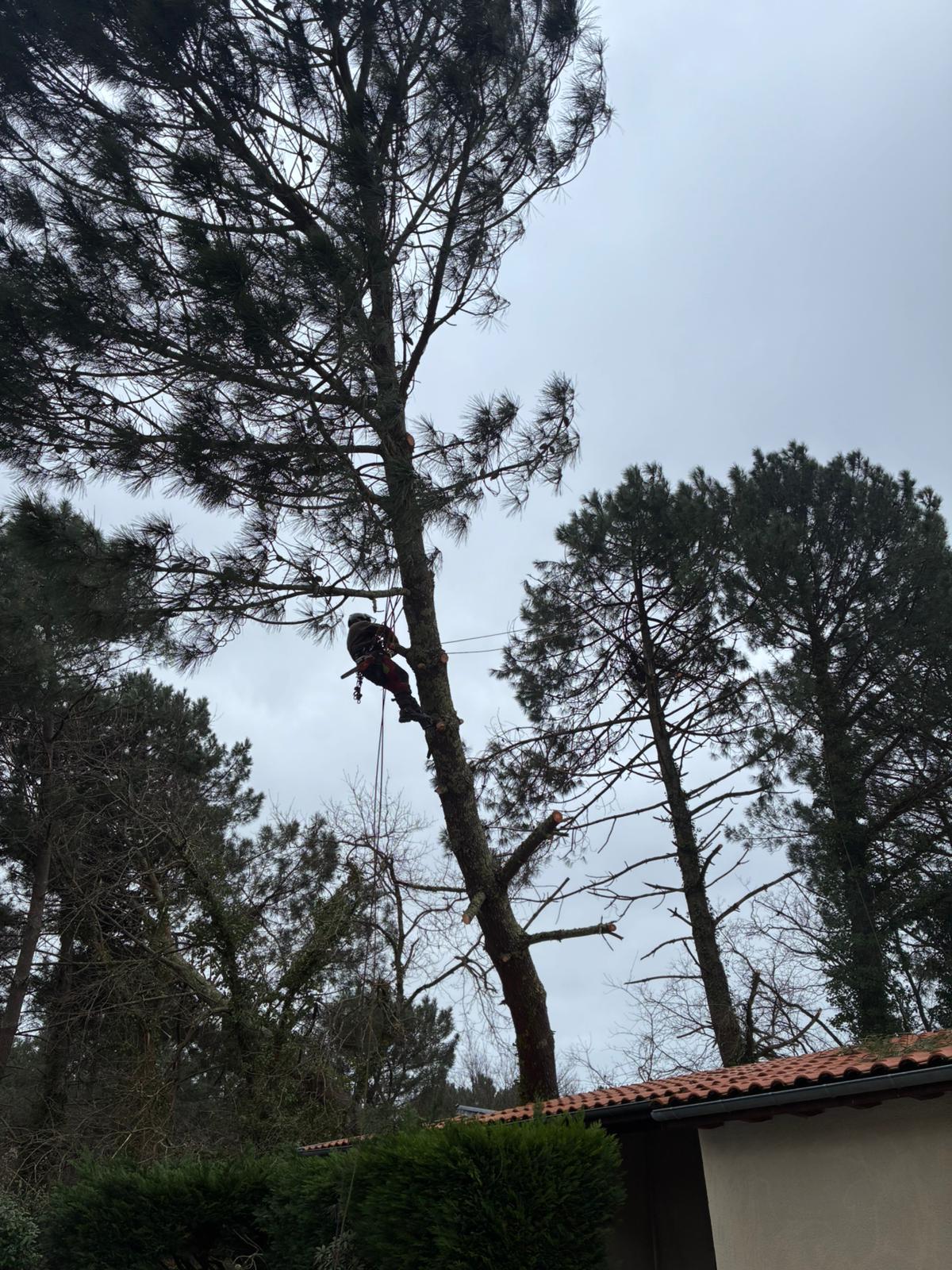 PHOTO 2026 02 24 16 38 38