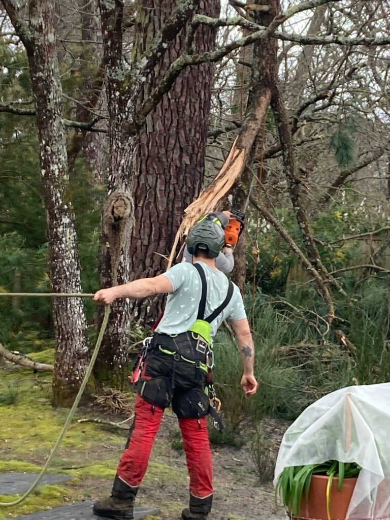 PHOTO 2026 02 24 16 39 03 768x1024