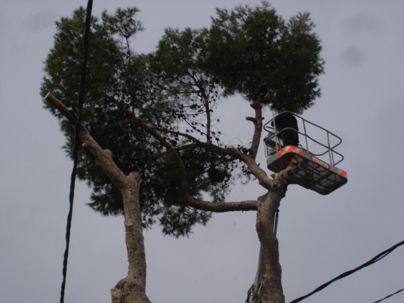 PHOTO 2026 02 24 16 43 22