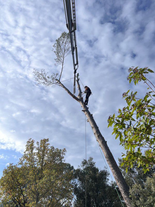 PHOTO 2026 02 24 16 44 09