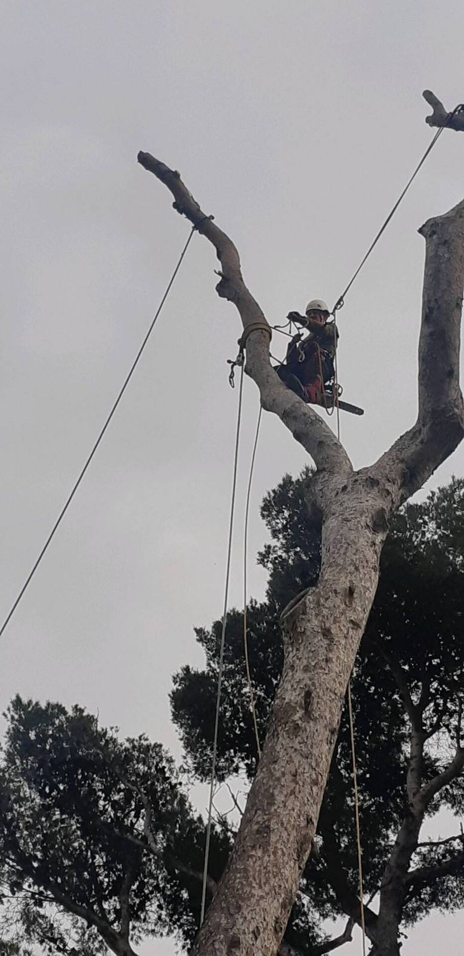 PHOTO 2026 02 24 16 44 32