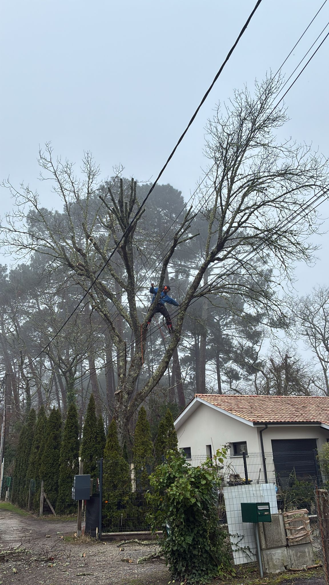 PHOTO 2026 02 26 16 16 58