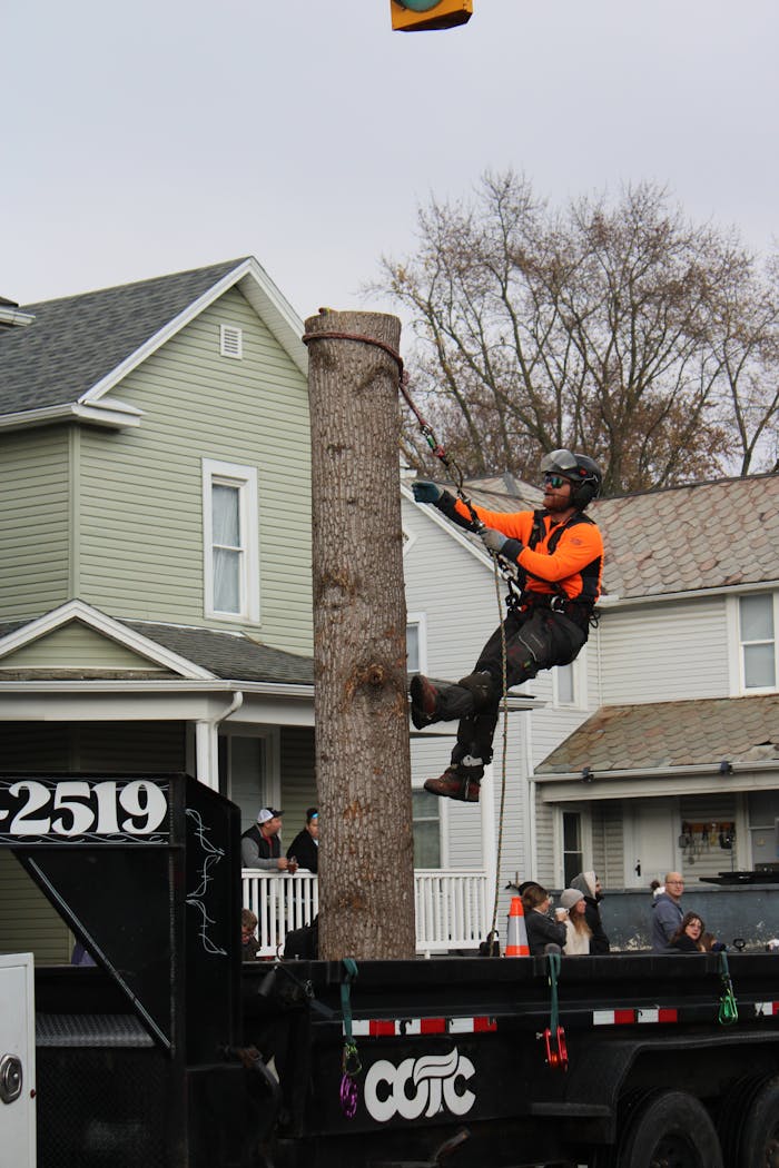 An arborist climbs a log mounted on a truck in Lancaster, Ohio, showcasing skill and equipment.