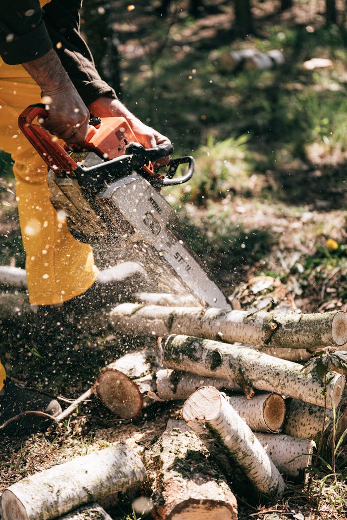 A person using a chainsaw to cut logs in a forest, demonstrating traditional lumberjack work.